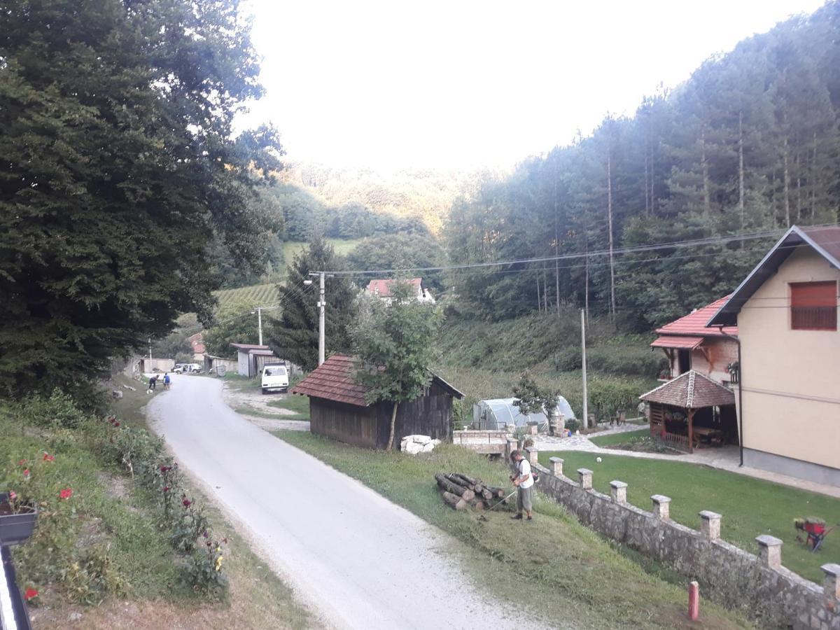 Guesthouse Stanojevic Guča Exterior foto